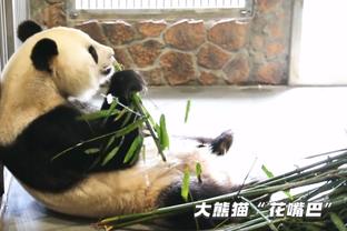 比克斯塔夫：贾勒特-阿伦从不放弃 他拒绝让球队输球